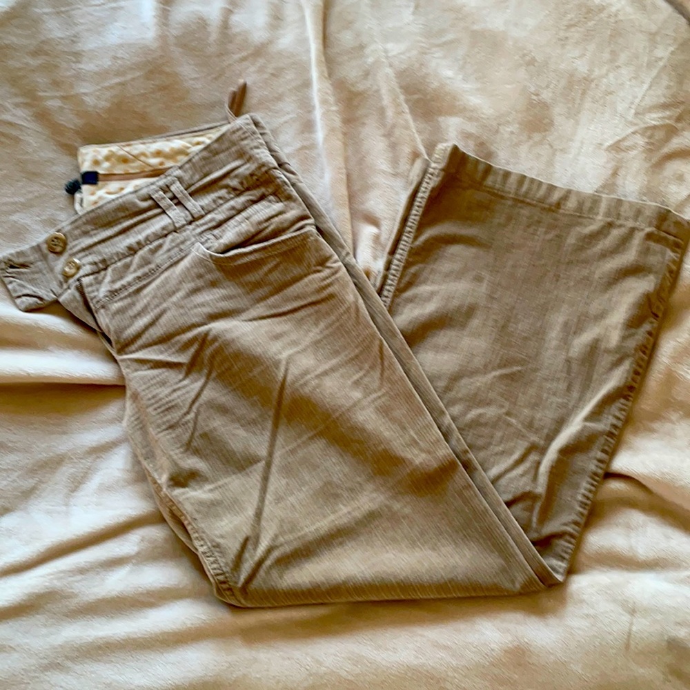 Anthropology slacks